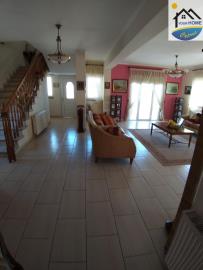 WhatsApp-Image-2026-03-13-at-11-51-48