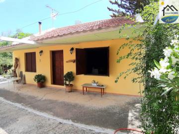 IMG-ce3de3a4504269e752dd813afd539788-V