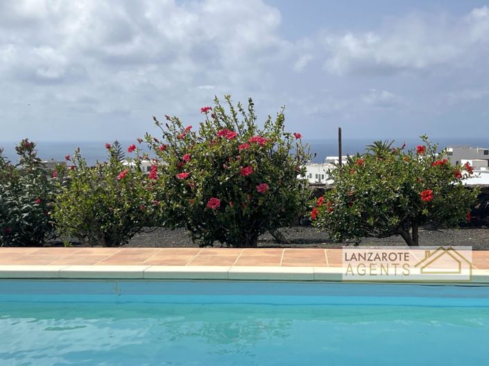 Image No.35-Villa de 4 chambres à vendre à Las Breñas