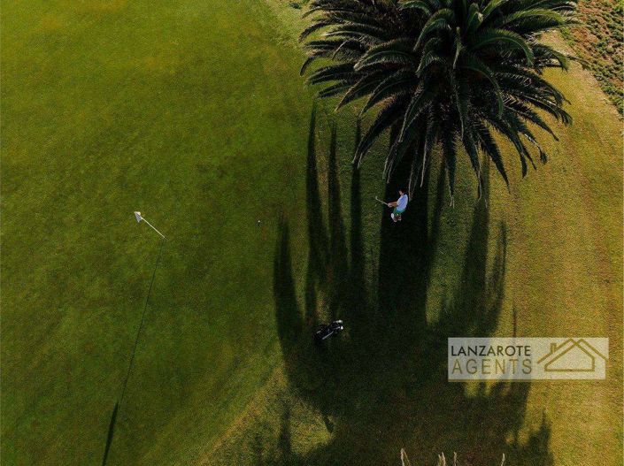 Image No.4-Terre à vendre à Tias