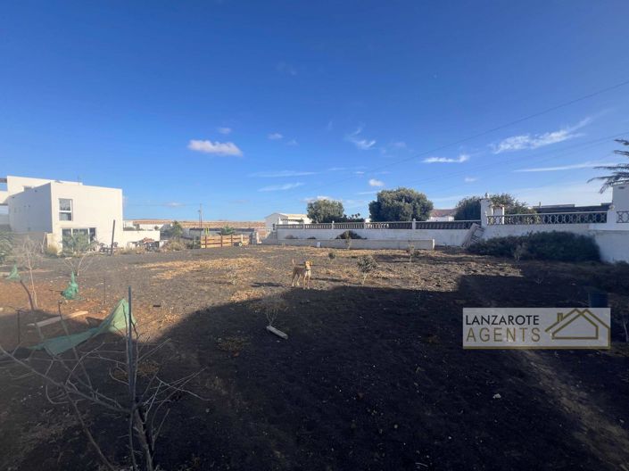 Image No.35-Finca de 5 chambres à vendre à El Cuchillo