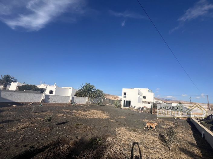 Image No.35-5 Bed Finca for sale