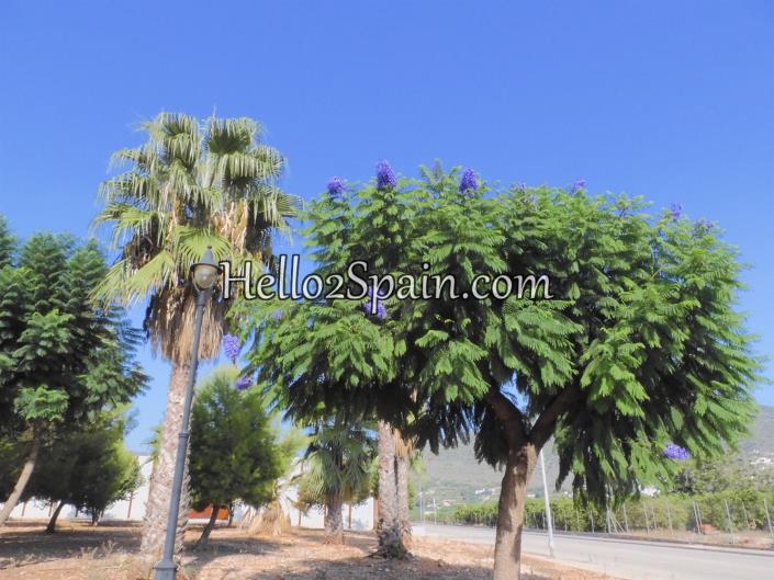 Image No.26-Maison de ville de 2 chambres à vendre à Pego