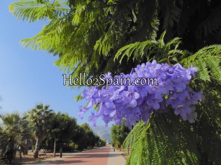 Image No.27-Maison de ville de 2 chambres à vendre à Pego