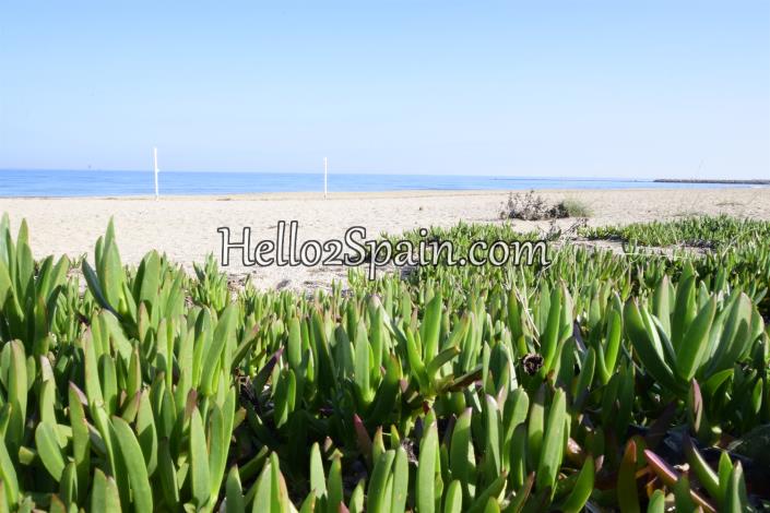 Image No.34-Maison de ville de 2 chambres à vendre à Pego