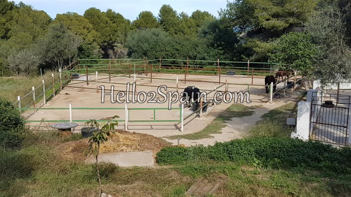 Image No.45-Maison de ville de 2 chambres à vendre à La Sella