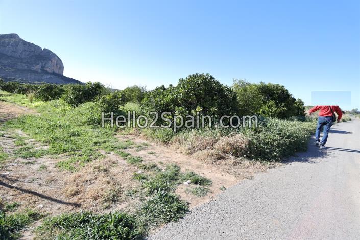 Image No.1-Land for sale