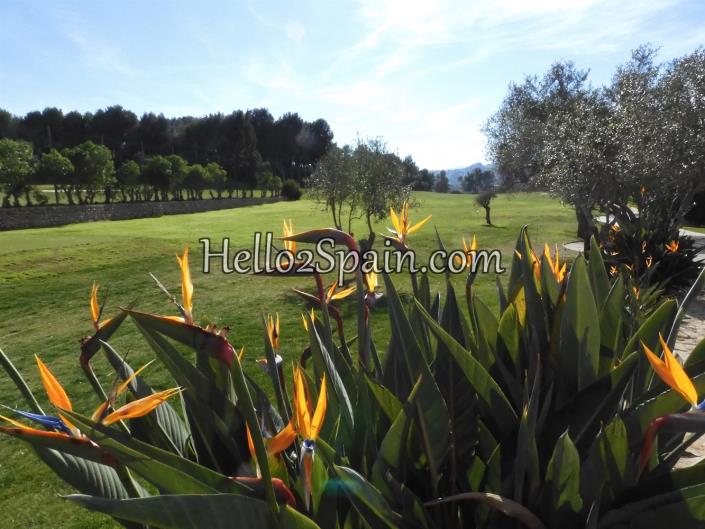 Image No.43-Appartement de 1 chambre à vendre à Pedreguer