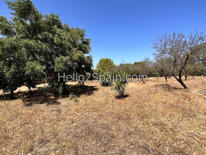 Image No.5-4 Bed Villa / Detached for sale