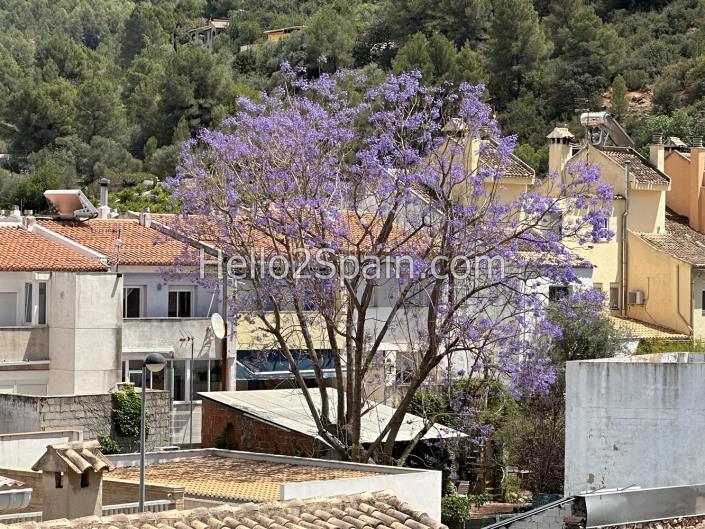Image No.43-Maison de ville de 4 chambres à vendre à Villalonga
