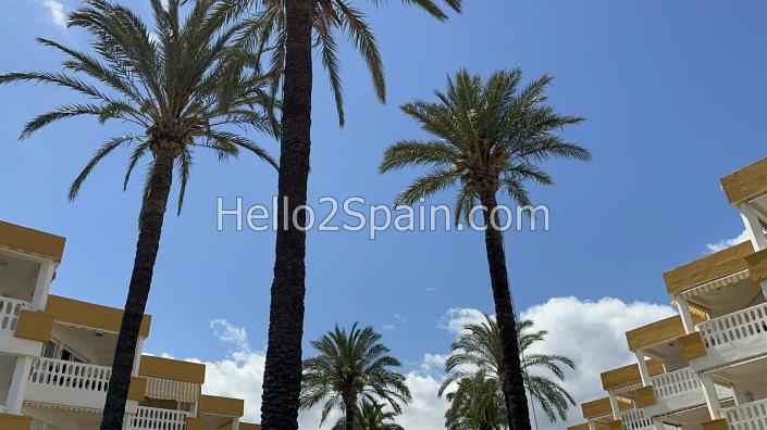 Image No.31-Appartement de 3 chambres à vendre à Denia