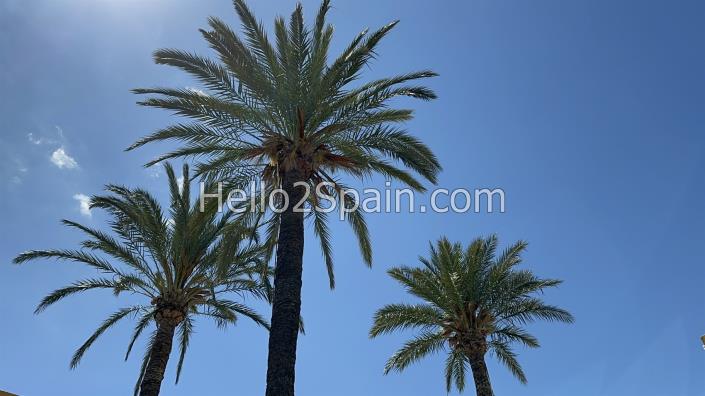 Image No.32-Appartement de 3 chambres à vendre à Denia