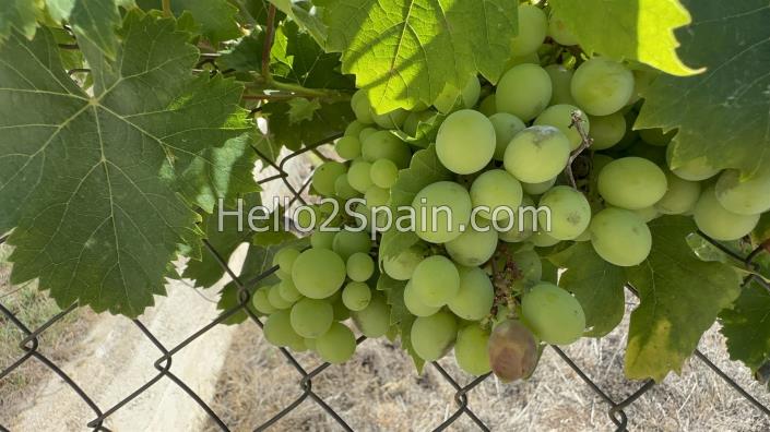 Image No.30-3 Bed Country House for sale