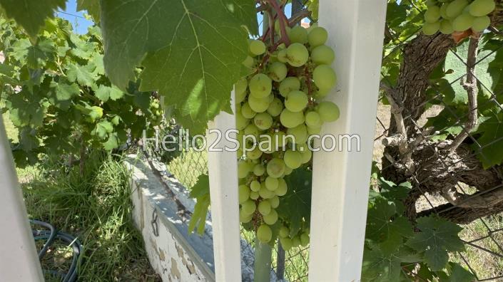 Image No.31-3 Bed Country House for sale