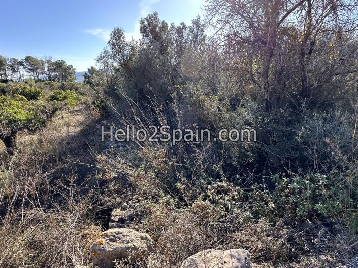 Image No.5-4 Bed Land for sale