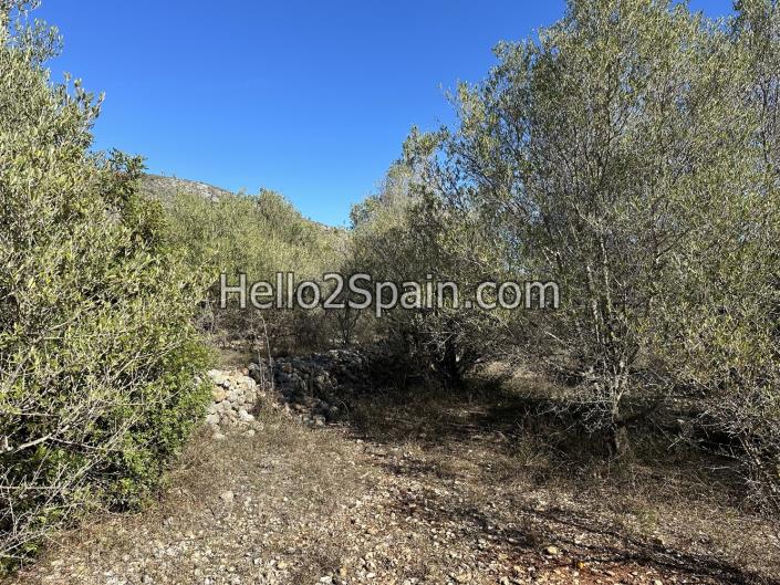 Image No.7-4 Bed Land for sale