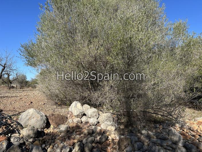 Image No.8-4 Bed Land for sale