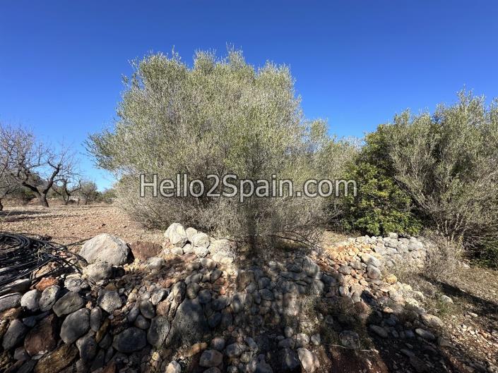 Image No.9-4 Bed Land for sale