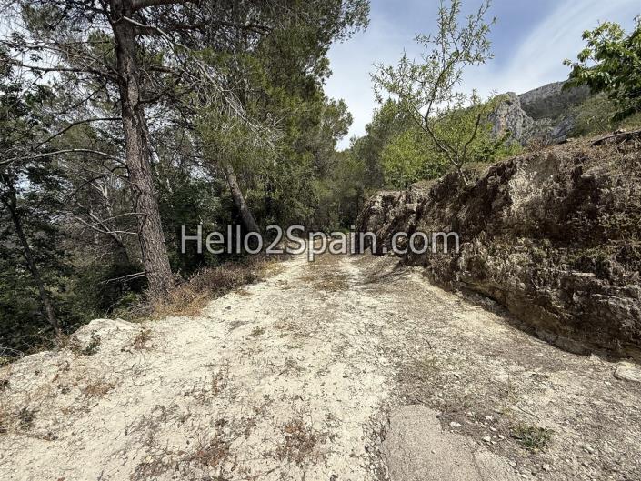 Image No.6-Terre à vendre à Vall de Gallinera