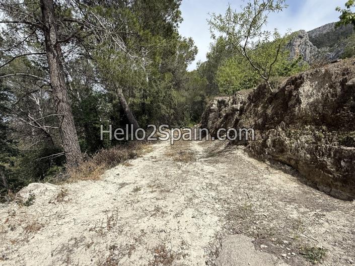 Image No.7-Terre à vendre à Vall de Gallinera