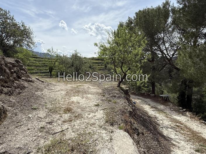 Image No.8-Terre à vendre à Vall de Gallinera