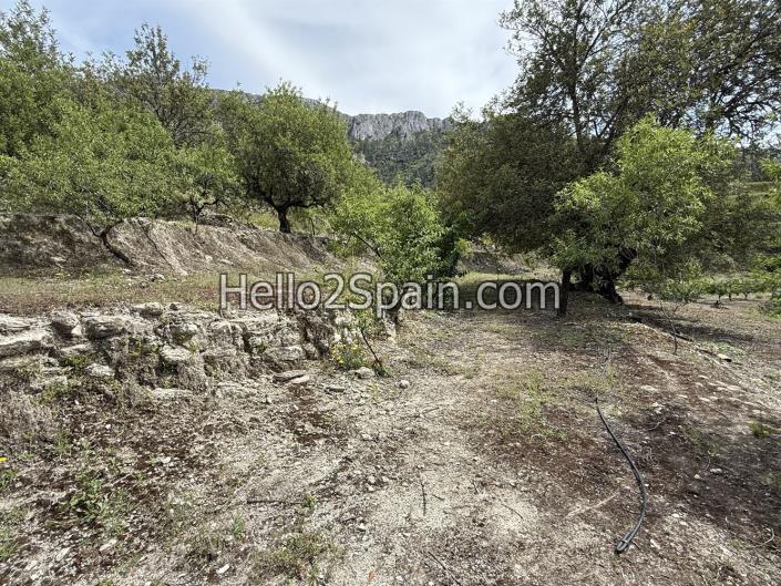 Image No.11-Terre à vendre à Vall de Gallinera