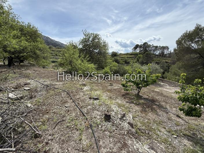 Image No.13-Terre à vendre à Vall de Gallinera