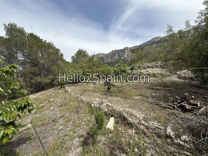 Image No.14-Terre à vendre à Vall de Gallinera