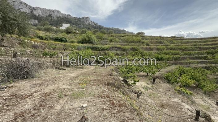 Image No.22-Terre à vendre à Vall de Gallinera