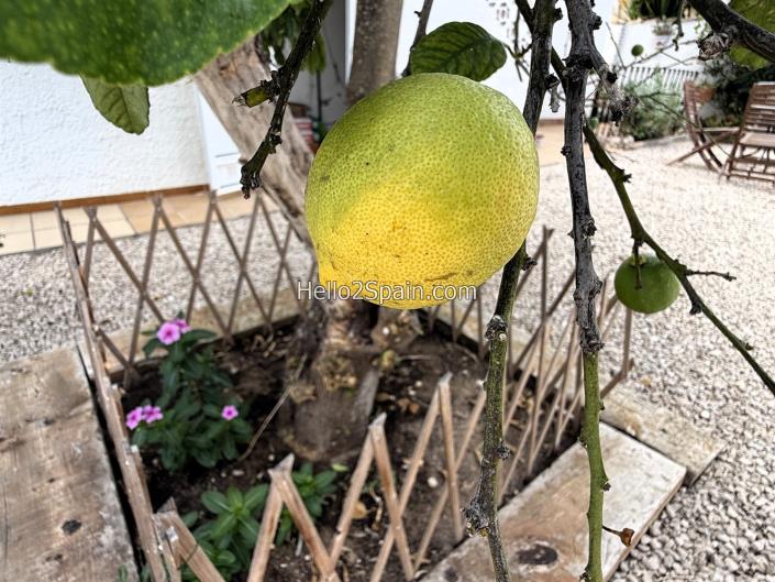 Image No.37-Villa / Détaché de 3 chambres à vendre à Denia