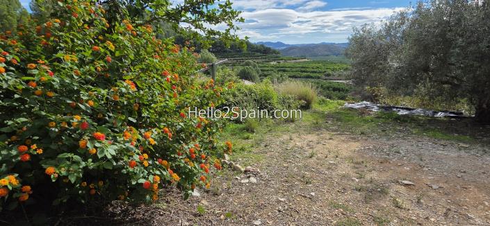 Image No.6-4 Bed Country House for sale