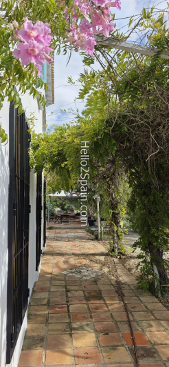 Image No.11-4 Bed Country House for sale