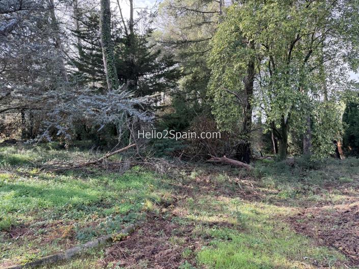 Image No.25-4 Bed Bungalow for sale