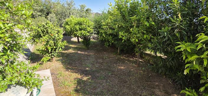 Image No.58-Villa / Détaché de 4 chambres à vendre à Ador