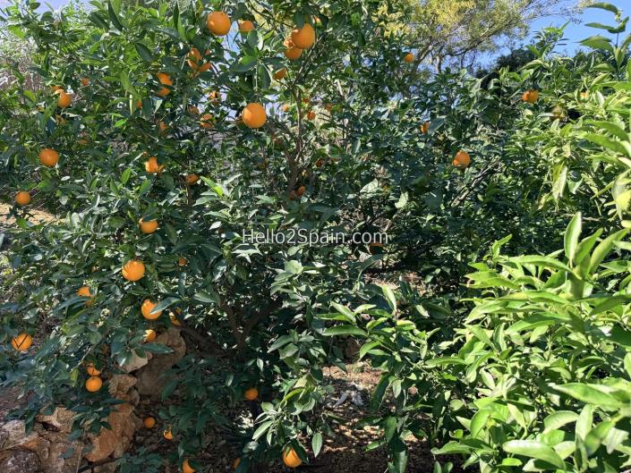 Image No.51-4 Bed Villa / Detached for sale