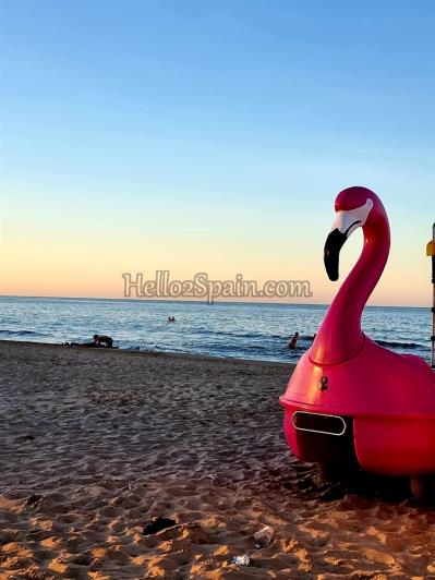 Image No.32-Appartement de 3 chambres à vendre à Gandía