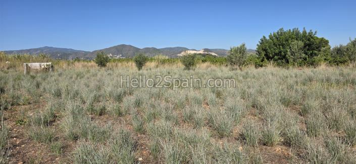 Image No.7-Land for sale