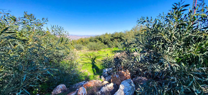 Image No.3-Plot for sale