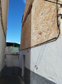 1000069556