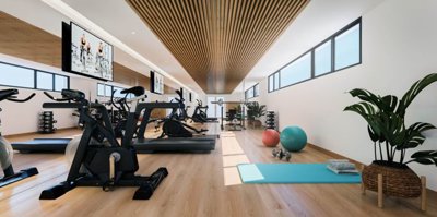 gimnasio fase 1