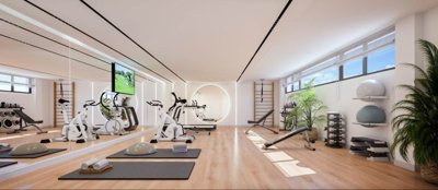 Gimnasio fase 2