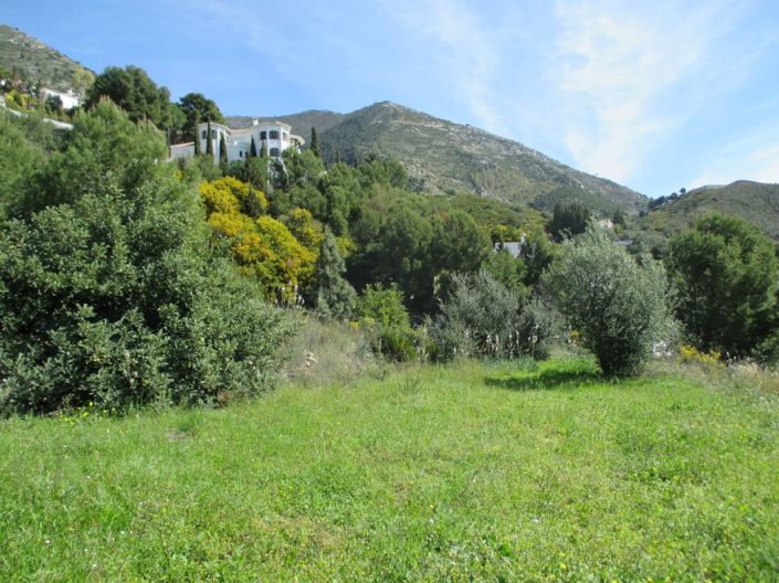 Image No.2-Plot for sale