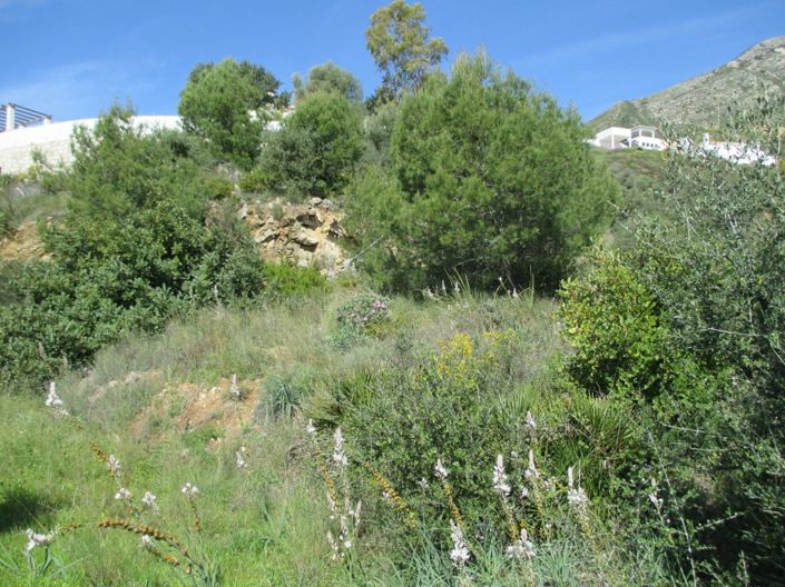 Image No.3-Plot for sale