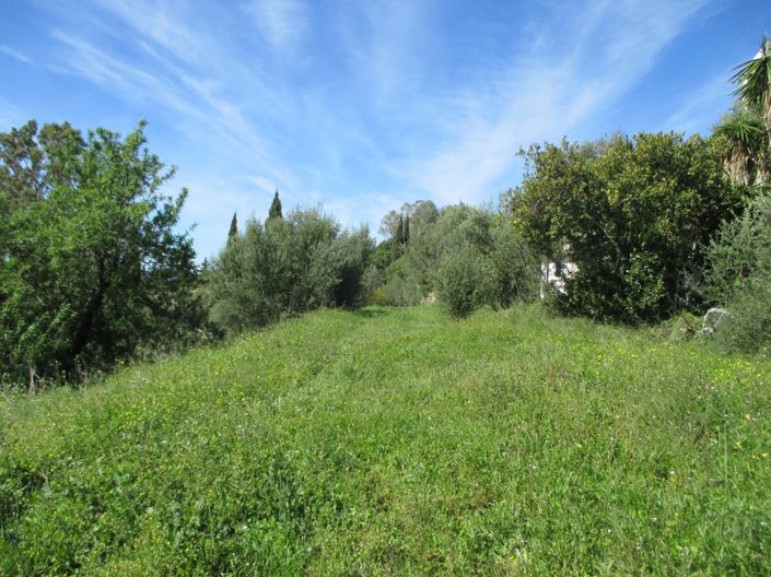 Image No.1-Plot for sale