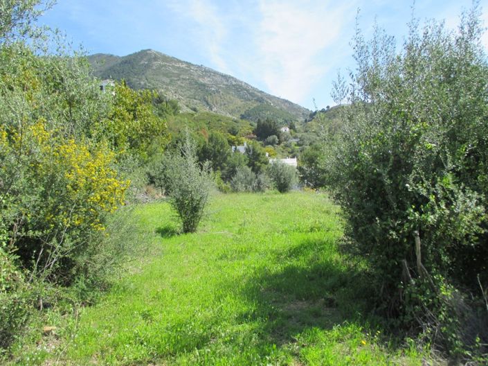 Image No.2-Plot for sale