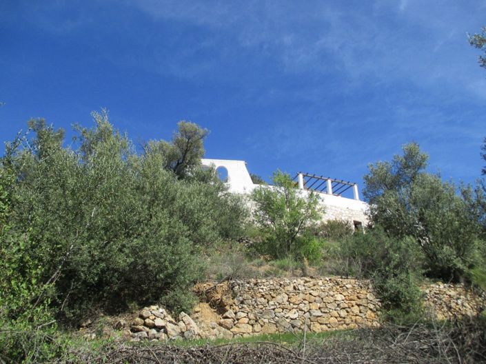 Image No.4-Plot for sale