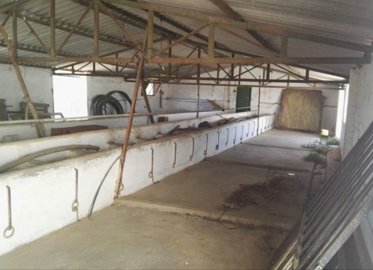 stables