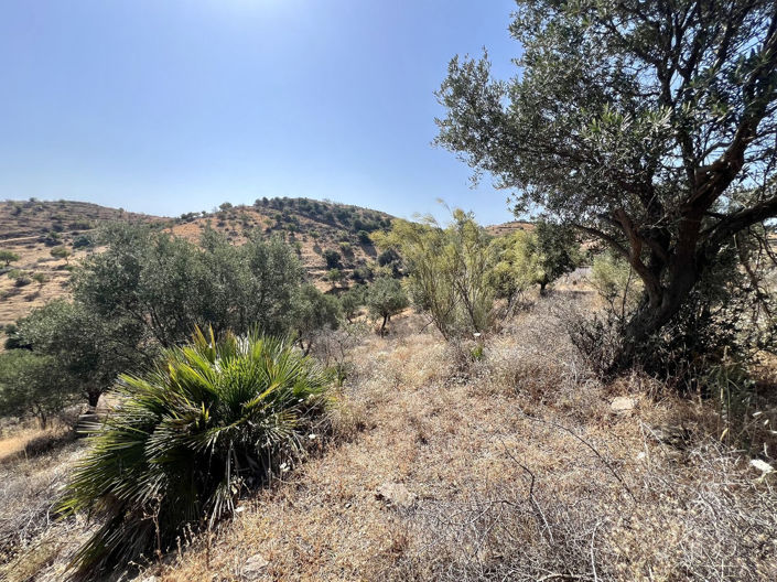 Image No.8-House for sale