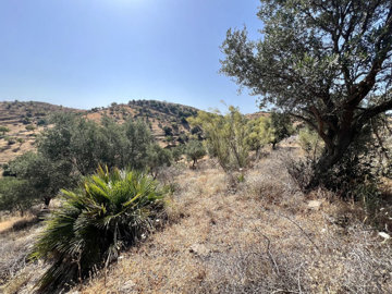 b98le8d7m9k3degpefzhs0lif8u4xzvzhwxtmggyekxx9