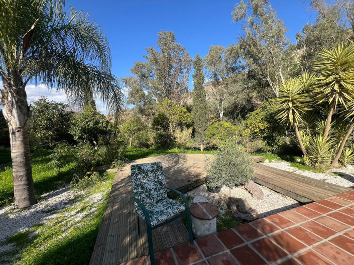 Image No.13-Finca de 4 chambres à vendre à Coin